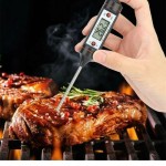 Θερμόμετρο Ψηφιακό με Ακίδα VEN-THE005UN