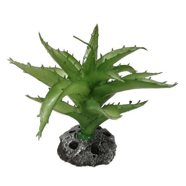 ΔΙΑΚΟΣΜΗΤΙΚΟ ΔΕΝΤΡΑΚΙ ΕΝΥΔΡΕΙΟΥ 11CM