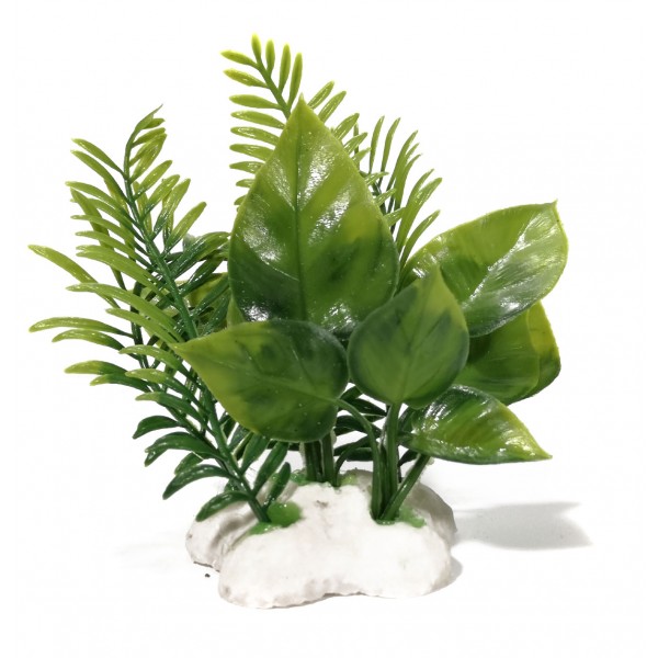 ΔΙΑΚΟΣΜΗΤΙΚΟ ΦΥΤΟ ΕΝΥΔΡΕΙΟΥ 10CM