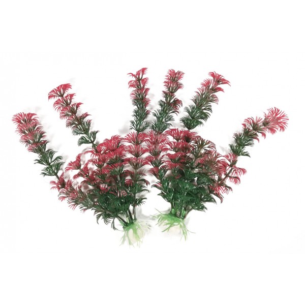 ΔΙΑΚΟΣΜΗΤΙΚΑ ΦΥΤΑ ΕΝΥΔΡΕΙΟΥ 2ΤΜΧ 17CM