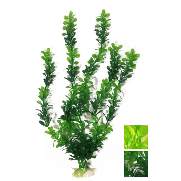 ΔΙΑΚΟΣΜΗΤΙΚΟ ΦΥΤΟ ΕΝΥΔΡΕΙΟΥ 30CM