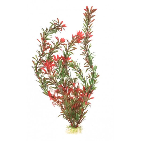 ΔΙΑΚΟΣΜΗΤΙΚΟ ΦΥΤΟ ΕΝΥΔΡΕΙΟΥ 35CM