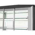 Ψυχόμενη βιτρίνα RG 800