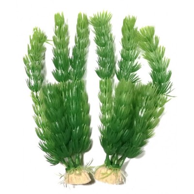 ΔΙΑΚΟΣΜΗΤΙΚΑ ΦΥΤΑ ΕΝΥΔΡΕΙΟΥ 2ΤΜΧ 18CM