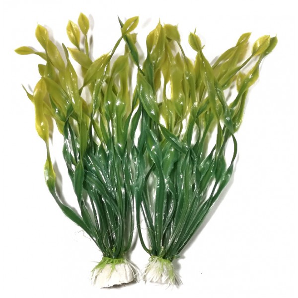 ΔΙΑΚΟΣΜΗΤΙΚΑ ΦΥΤΑ ΕΝΥΔΡΕΙΟΥ 2ΤΜΧ 20CM