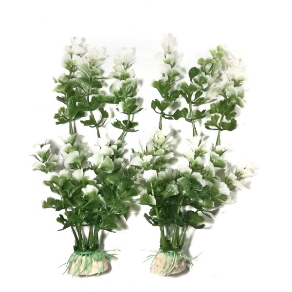 ΔΙΑΚΟΣΜΗΤΙΚΑ ΦΥΤΑ ΕΝΥΔΡΕΙΟΥ 2ΤΜΧ 17CM