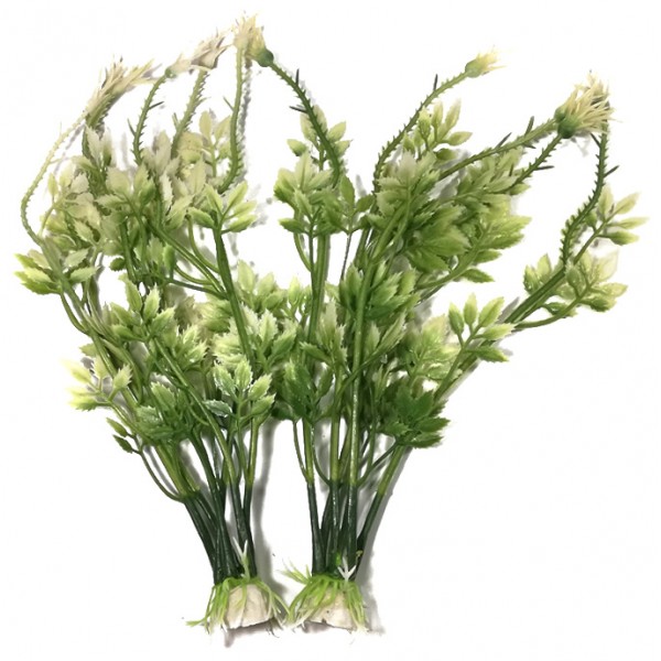 ΔΙΑΚΟΣΜΗΤΙΚΑ ΦΥΤΑ ΕΝΥΔΡΕΙΟΥ 2ΤΜΧ 23CM