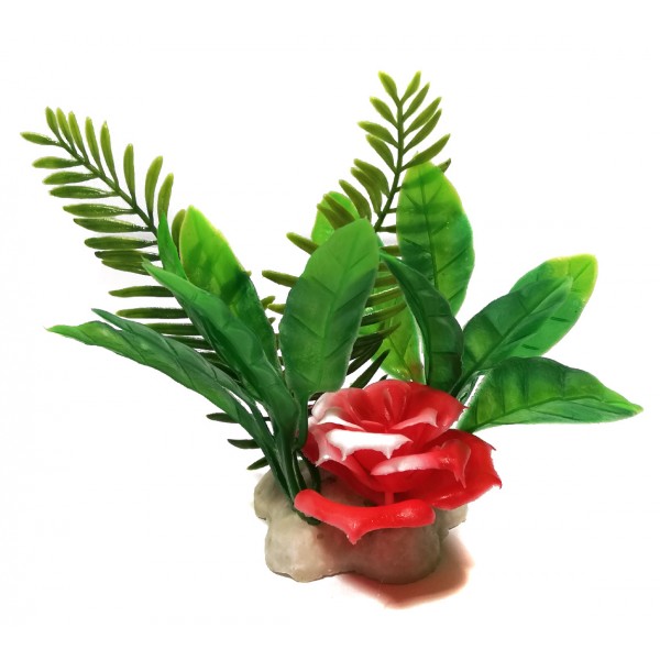 ΔΙΑΚΟΣΜΗΤΙΚΟ ΔΕΝΤΡΑΚΙ ΕΝΥΔΡΕΙΟΥ 12CM