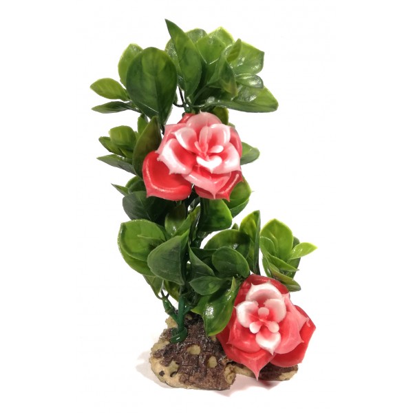 ΔΙΑΚΟΣΜΗΤΙΚΟ ΔΕΝΤΡΑΚΙ ΕΝΥΔΡΕΙΟΥ 19CM