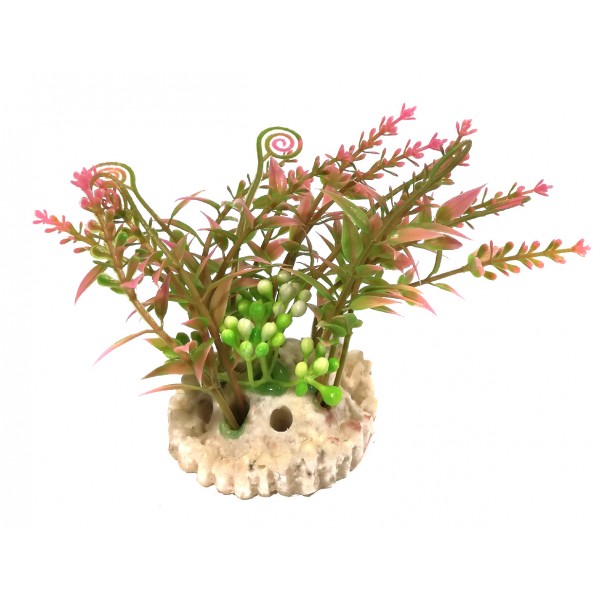 ΔΙΑΚΟΣΜΗΤΙΚΟ ΔΕΝΤΡΑΚΙ ΕΝΥΔΡΕΙΟΥ 8CM