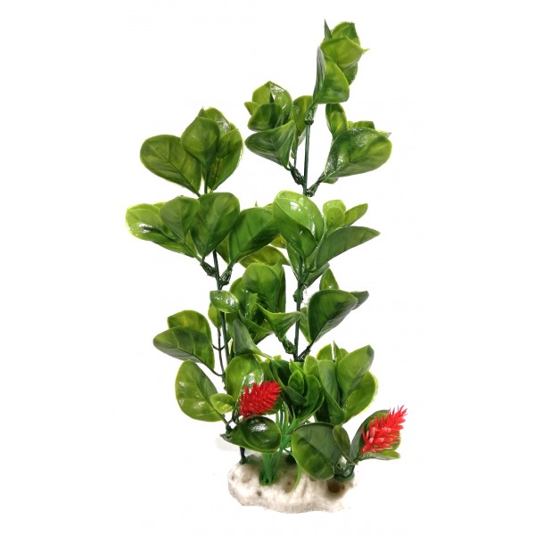 ΔΙΑΚΟΣΜΗΤΙΚΟ ΔΕΝΤΡΑΚΙ ΕΝΥΔΡΕΙΟΥ 26CM