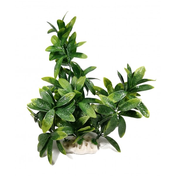 ΔΙΑΚΟΣΜΗΤΙΚΟ ΔΕΝΤΡΑΚΙ ΕΝΥΔΡΕΙΟΥ 27CM