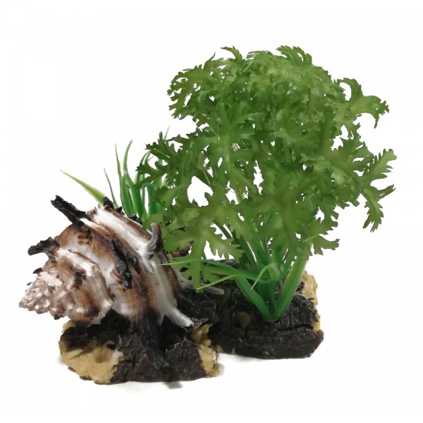 ΔΙΑΚΟΣΜΗΤΙΚΟ ΔΕΝΤΡΑΚΙ ΕΝΥΔΡΕΙΟΥ 9CM