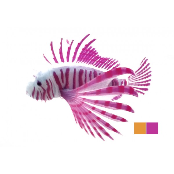 ΔΙΑΚΟΣΜΗΤΙΚΟ ΨΑΡΙ ΕΝΥΔΡΕΙΟΥ 10CM