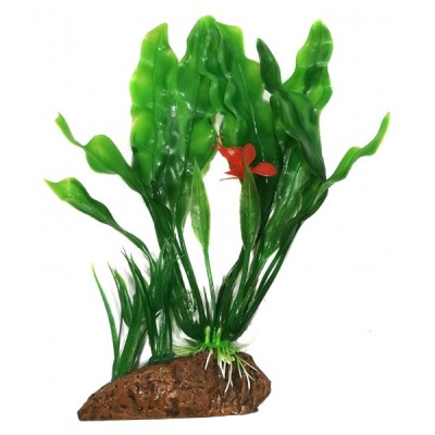 ΔΙΑΚΟΣΜΗΤΙΚΟ ΦΥΤΟ ΕΝΥΔΡΕΙΟΥ 20CM