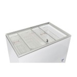 Οριζόντιος καταψύκτης CFG 308 με συρόμενα γυάλινα καπάκια 300lt