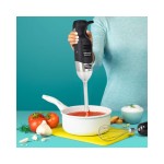 Dynamic IB-270TV Μίξερ Χειρός κομπλέ - Ραβδομπλέντερ ICS-300.0124