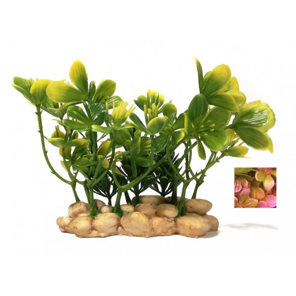 ΔΙΑΚΟΣΜΗΤΙΚΟ ΔΕΝΤΡΑΚΙ ΕΝΥΔΡΕΙΟΥ 9CM