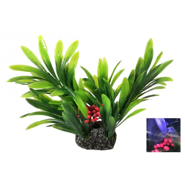 ΔΙΑΚΟΣΜΗΤΙΚΟ ΔΕΝΤΡΑΚΙ ΕΝΥΔΡΕΙΟΥ 13CM