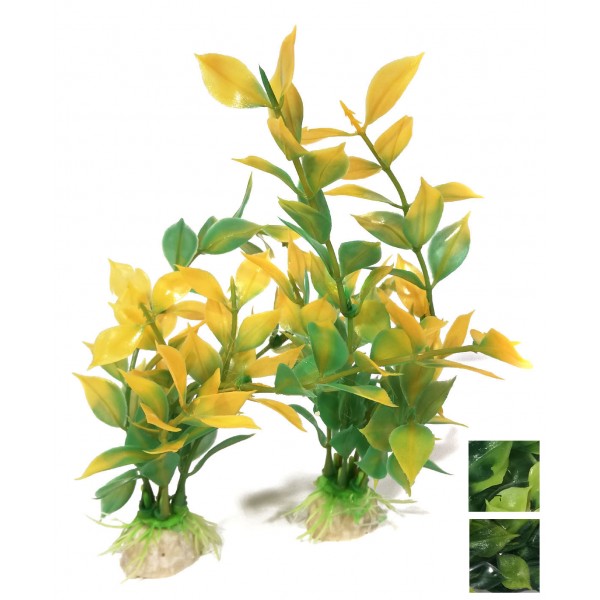 ΔΙΑΚΟΣΜΗΤΙΚΑ ΦΥΤΑ ΕΝΥΔΡΕΙΟΥ 2ΤΜΧ 19CM