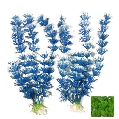 ΔΙΑΚΟΣΜΗΤΙΚΑ ΦΥΤΑ ΕΝΥΔΡΕΙΟΥ 2ΤΜΧ 20CM