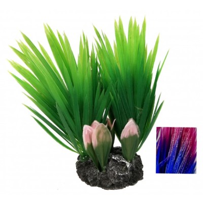 ΔΙΑΚΟΣΜΗΤΙΚΟ ΔΕΝΤΡΑΚΙ ΕΝΥΔΡΕΙΟΥ 13CM