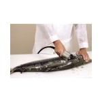 Aπολεπιστής ψαριών αδιάβροχος για επαγγελματική χρήση Dynamic ICS-105.0010