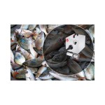 Aπολεπιστής ψαριών αδιάβροχος για επαγγελματική χρήση Dynamic ICS-105.0010