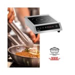 Επαγωγική εστία ηλεκτρονική 105924 | IK 35 Basic